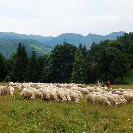 Podolina 度假居 Terchová