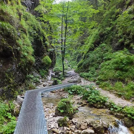 Podolina *