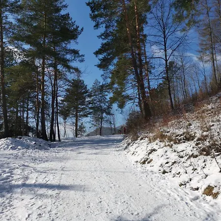 Podolina Prázdninový dům Terchová