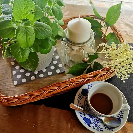 Σπίτι διακοπών Podolina