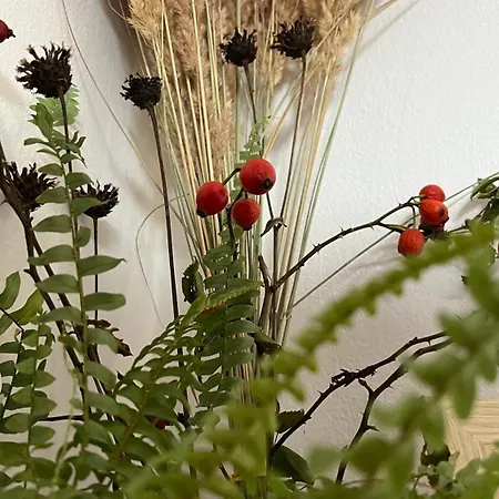 Podolina *